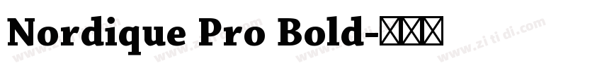 Nordique Pro Bold字体转换